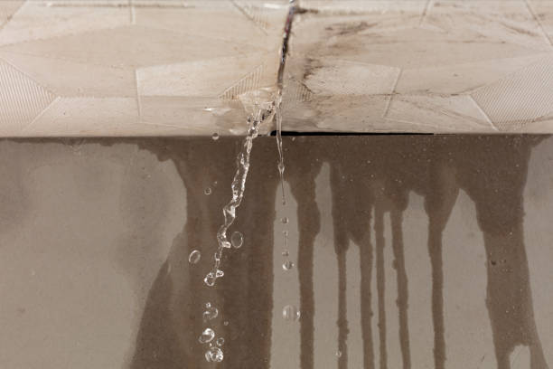 Professional Water Damage Restoration technician working in Roanoke, AL